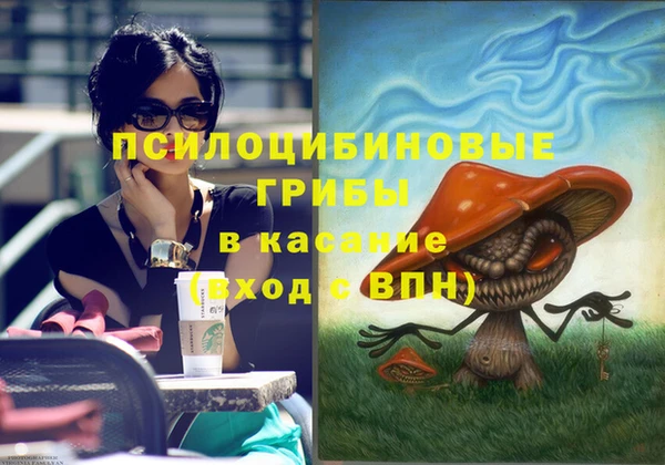тгк Алзамай